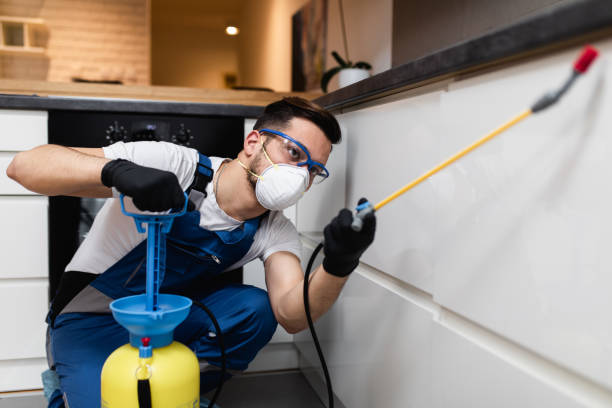 Best Wasp Removal Services  in Salida, CO