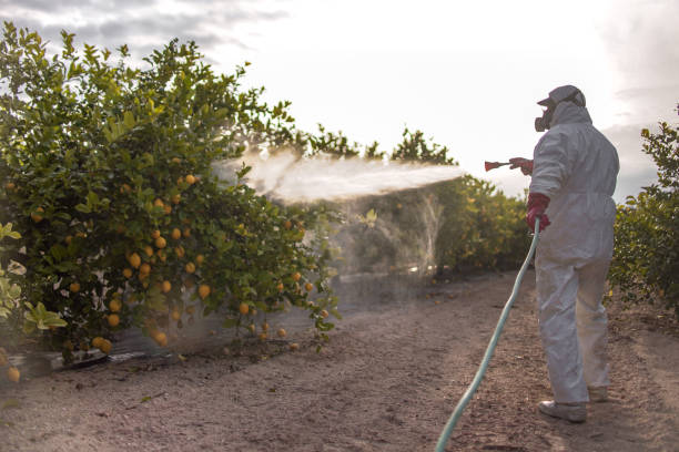 Best Best Pest Control Companies  in Salida, CO