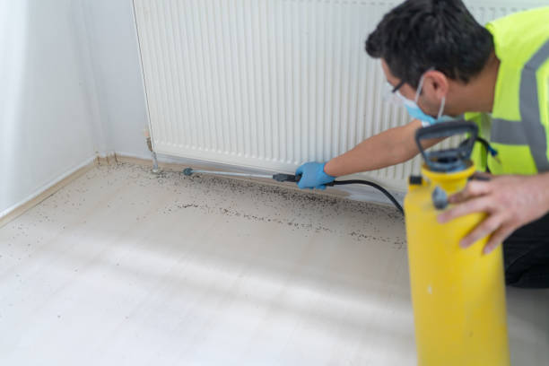 Best Best Pest Control Companies  in Salida, CO